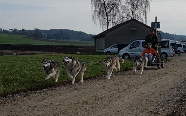 training 18-03 2018-04-02-10h24m06